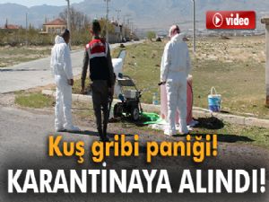 Niğde'de kuş gribi şüphesi