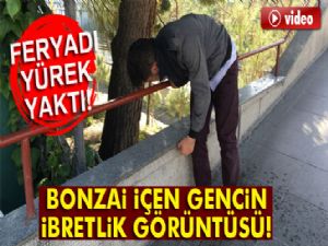 Bonzai içen gencin ibretlik görüntüsü!