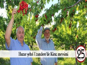   Huzur şehri Uzundere'de Kiraz mevsimi