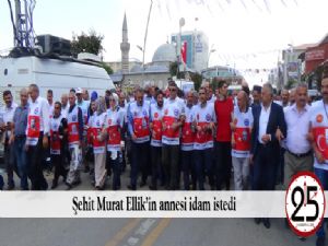  Şehit Murat Ellik'in annesi idam istedi