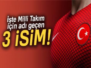 Fatih Terim'in yerine kim gelecek?