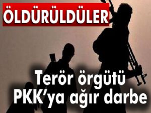 TSK'dan bölücü terör örgütüne ağır darbe !