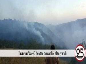 Erzurum'da 40 hektar ormanlık alan yandı