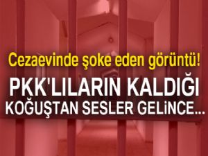 Cezaevinden kaçmaya çalışan PKK'lılar yakalandı