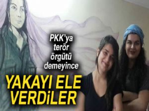 PKK'ya 'terör örgütü' diyemediler!