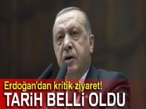 Cumhurbaşkanı Erdoğan Katar'a gidiyor