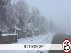  Erzurum buz kesti 