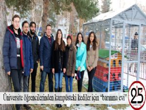  Üniversite öğrencilerinden kampüsteki kediler için 