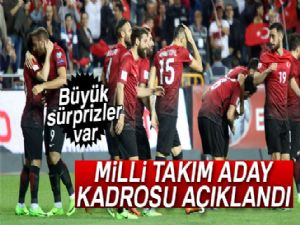 Milli Takım aday kadrosu açıklandı!