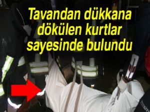 Cesedi, tavandan dükkana dökülen kurtlar buldurdu