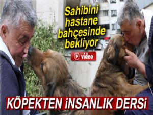 Sahibini hastane bahçesinde bekleyen köpekten insanlık dersi