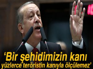 Erdoğan: Bizim bir şehidimizin kanı yüzlerce teröristin kanıyla ölçülemez