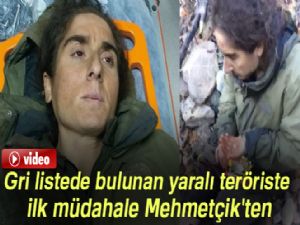 Gri listede bulunan yaralı teröriste ilk müdahale Mehmetçik'ten