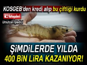 Karidese yatıran kazanıyor