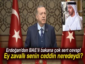 Cumhurbaşkanı Erdoğan'dan BAE'li bakana çok sert cevap