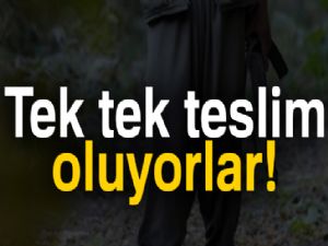 Tek tek teslim oluyorlar