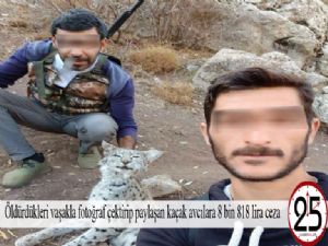  Öldürdükleri vaşakla fotoğraf çektirip paylaşan kaçak avcılara 8 bin 818 lira ceza 