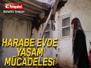 Yaşlı kadın harabe evde yaşam mücadelesi veriyor