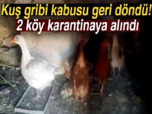 Kuş gribi kabusu geri döndü: 2 köy karantinaya alındı