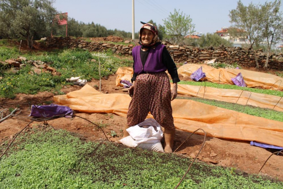 80 yaşındaki Raziye Nine gençlere taş çıkarıyor