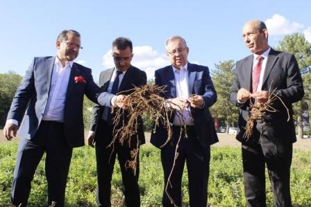 Asırlar önce formülü yasaklanan 'Edirne Kırmızısı' kıyafetlerle buluşuyor