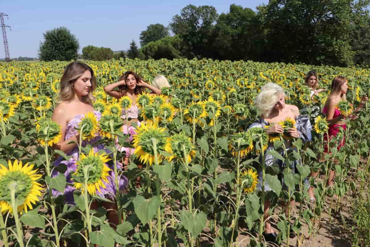 Ayçiçeği tarlasında mankenlerle muhteşem foto safari