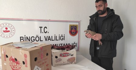 Bingöl’de yasak şekilde avlanan 13 adet kınalı keklik ele geçirildi