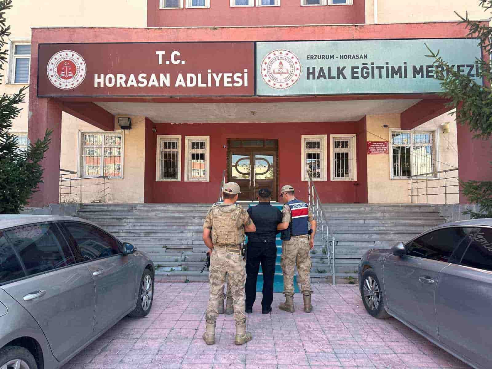 Büyükbaş hayvan hırsızları jandarmadan kaçamadı