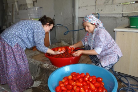 Ev ekonomisine salça katkısı