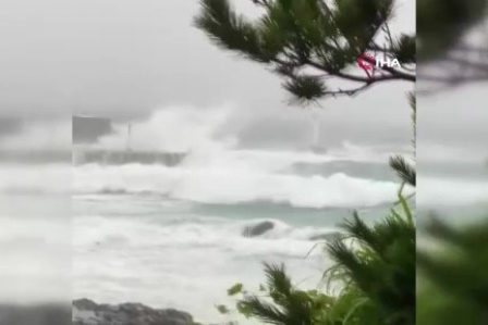 Japonya'da Meari Tayfunu alarmı