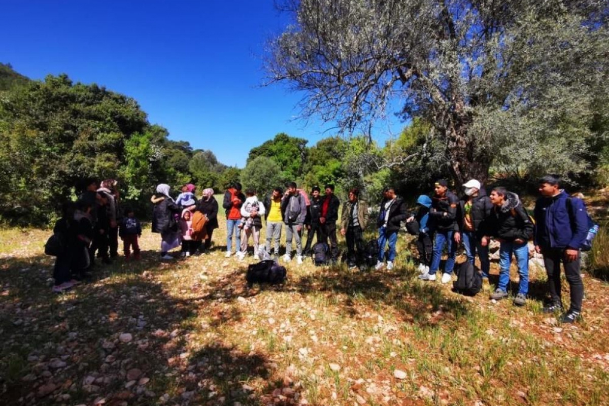 Muğla'da 55 düzensiz göçmen yakalandı