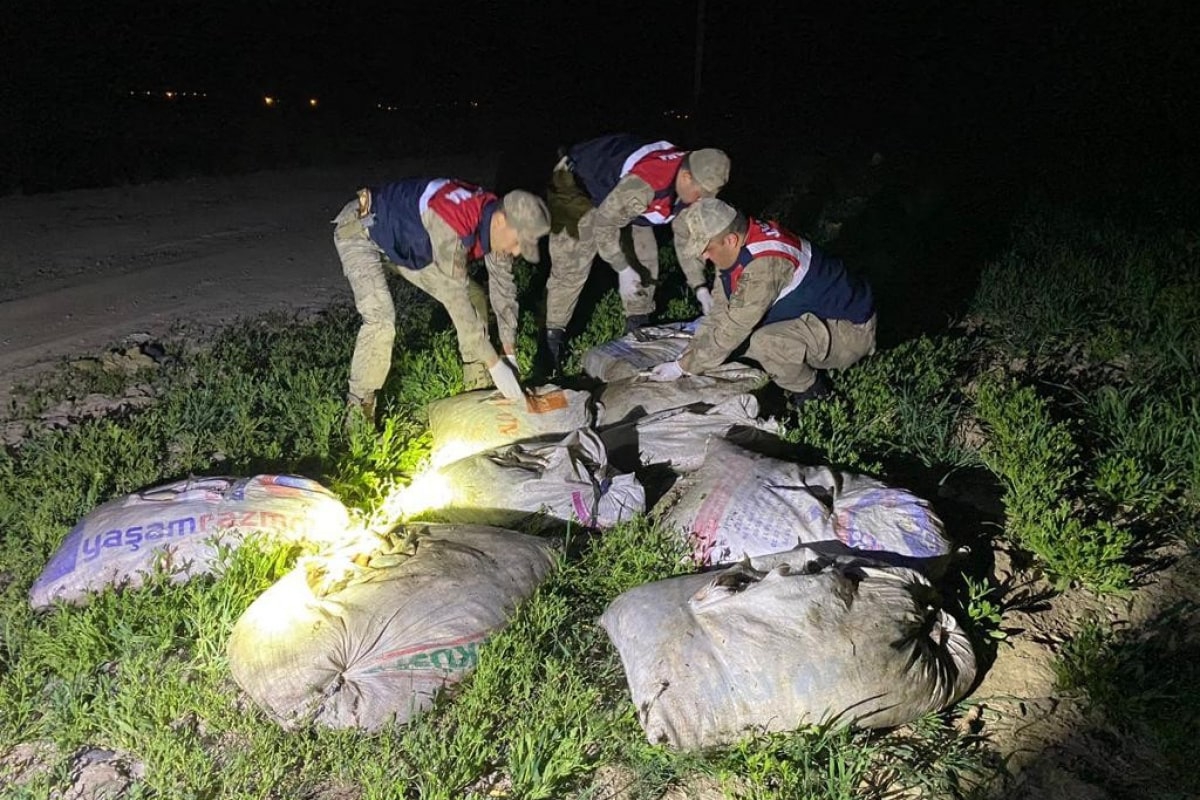 Muradiye'de kaçak avlanmış 6,5 ton balık ele geçirildi