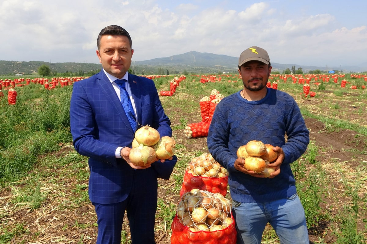 Soğan, fiyatıyla çiftçinin yüzünü güldürüyor