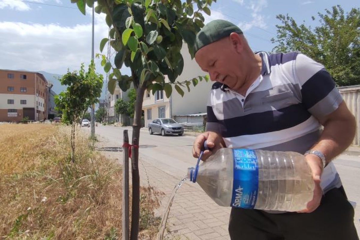 Sokak sokak gezip her yere meyve fidanı dikiyor