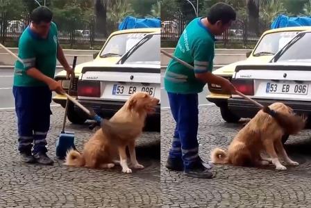 Temizlik personeli süpürgeyle sokak köpeğinin sırtını kaşıdı