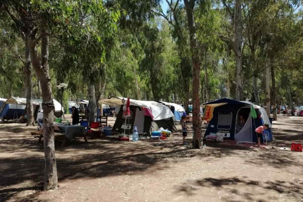 Vatandaşların kamp tercihi Ada Camping, dolup taştı